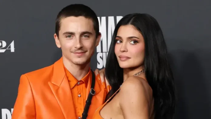 Timothee Chalamet 696x392