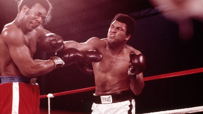 George Foreman 4 696x392