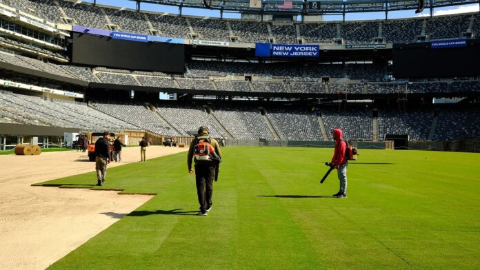 New York New Jersey Stadium Pitch Fox News 001 696x392